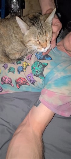 My old lady wanted some lovin tonight. | Mark Dull