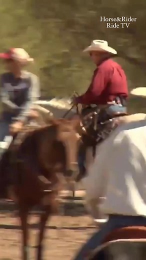 Al Dunning demonstrates and explains the five components of how to stop your horse. Want see more like this? Head over to Ride TV for a full collection of training videos! #horseandrider #ridetv | Horse & Rider Magazine