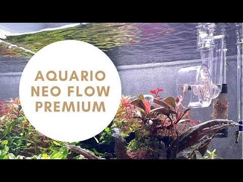 Aquario Neo Flow Premium #aquario #aquascape