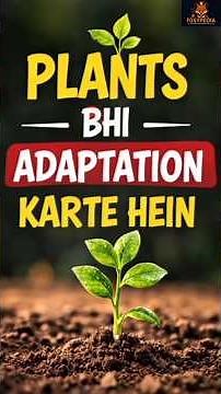 Plants भी करते हैं Smart Adaptation! 🌿 | Desert, Shade & Storm Plants Explained