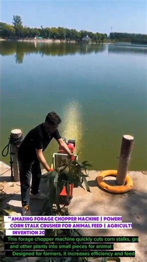 Amazing Forage Chopper Machine | Powerful Corn Stalk Crusher for Animal Feed Agricultural Invention.