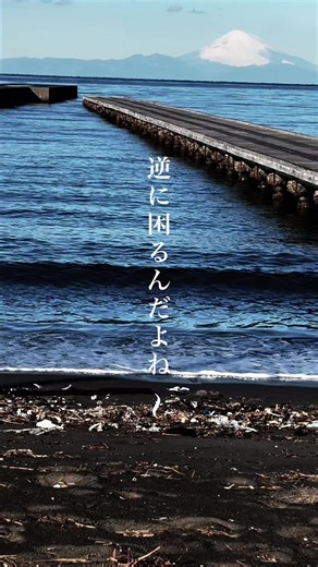 @mr.tenpa__ouji ↑その他の千葉のオススメスポットをご紹介中〜😚 🏠北条桟橋🏠 〒294-0045 千葉県館山市北条２６７５ オススメ度^ ^！！★★★★★ 行きやすい度(^ ^)!★★★★★ 千葉県から見る富士山の景色が本当大好きすぎて、大好きがゆえに、こんなにも富士山がハッキリと美しく見える日にはいてもたってもいられず、ここ北条桟橋に駆けつけてしまうんですよね〜😽 なんでこんなにも富士山が大きく見えるんでしょうか🤭⁇ 冬は特に✨どなた様か教えて〜😙笑笑 駅からも近くて桟橋行ったり海岸沿い散歩するだけでも最高に癒される素敵なスポット😄 しかも夕方の景色もまた贅沢なんですよね〜😚 ぜひ富士山が見えた日には行ってみてくださいねー😸 🎤本日のおまけダジャレ🎤 『北条に行く方法情報載ってる？』 ダジャレ完成度‼︎‼︎★☆☆☆☆ 少しでも疲れが吹っ飛べば光栄です😆 代わりに苛立ちを与えてしまったらすみません😙笑 ※少しでも自分の投稿から千葉観光に興味持って頂けたら嬉しいです✌️ そのほか、多数のスポットも掲載してますのでプロフィールも覗いて頂けたらなお嬉