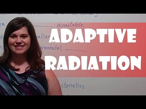 Adaptive Radiation