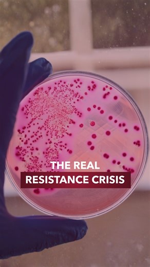 Prxcision® on Instagram: "🚨 Antimicrobial resistance spotlight⁠ ⁠ Some pathogens haven’t become resistant; they’ve always been. Stenotrophomonas maltophilia is intrinsically resistant and, like C. difficile, often emerges as a superinfection driven by antibiotic pressure.⁠ ⁠ Meanwhile, the organisms actively escalating in resistance and challenging clinicians today include:⁠ • Pseudomonas aeruginosa⁠ • Acinetobacter baumannii complex⁠ • CRE (carbapenem-resistant Enterobacterales) — particularly