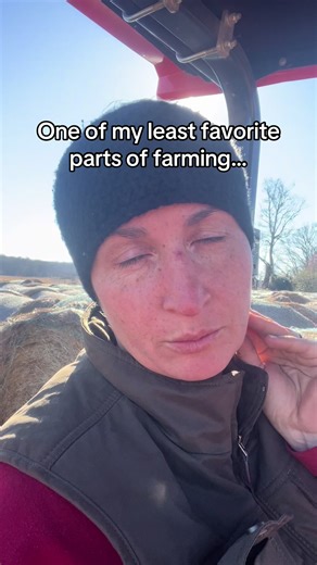 Crazycowlove (@crazycowlove)’s videos with original sound - Crazycowlove