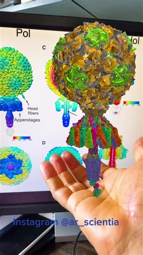 #AR #science #virus #argmentendreality #bacteria