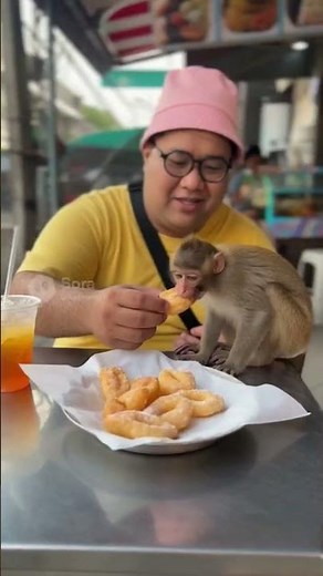 เอาลิงมาเลี้ยงอีก