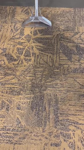 ✨We take pride in our work! 💪 Thank you for choosing us to be a special part of keeping your home or business cleaner and safer. #cleaning #Cleaner #experiencethepowerofclean #cleaningservices #carpetcleaning #videos #KryptoniteKleaning #fypageシ #thevillagesfl #ocalafl #safertogether #EcoFriendlyCleaning | Kryptonite Kleaning