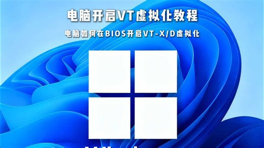 #电脑知识 #电脑小技巧 #虚拟化