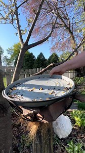 69K views · 1.7K reactions | So, so good. It was hard to edit this...