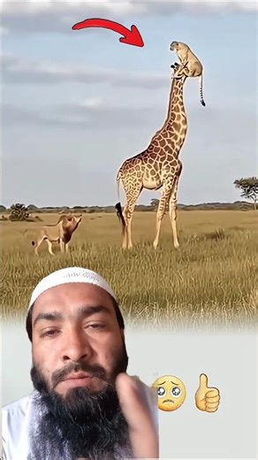 Surah Al-Ikhlas - Muhammad Abid | Heart Touching Quran Recitation | Nature