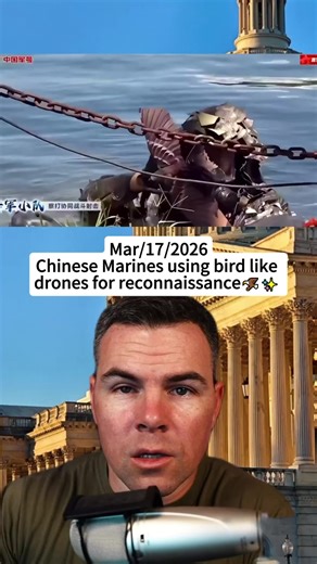 China's Bird Drones: The Future of Stealth Reconnaissance? 🦅✨ #TechInnovation #DroneTechnology #MilitaryTech #FYP #ForYouPage #humor #fypシ #army #marinecorps #coastguard #airforce #military #navy #miltok #tiktok #soldier #kagandunlap #usmarines #marine #news #spaceforce #foryou