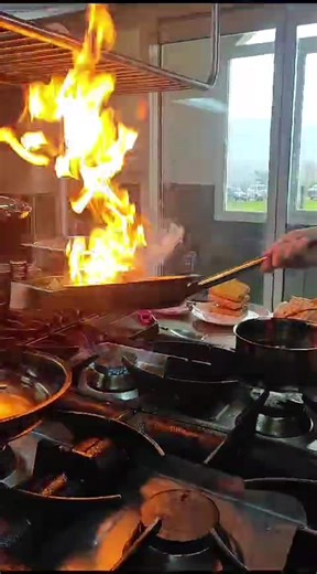 Master the Art of Cooking with These Essential Tips