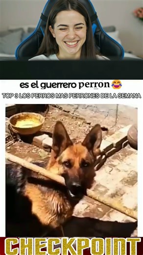 #viralvideoシ #humor #dogs | CheckPoint