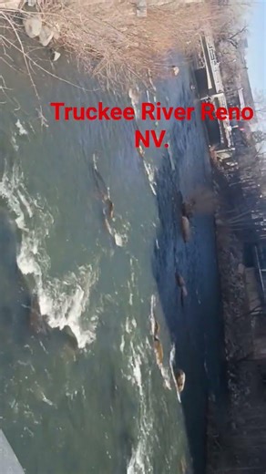 Reno NV Vlog Truckee River Downtown. Reno.