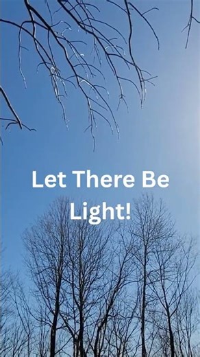 Timber Management for Better Whitetail Hunting