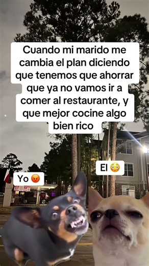 #fypシ #humor #suscribense #tutorial #comedy #supcribete #suscriptores #amor #viral #reels