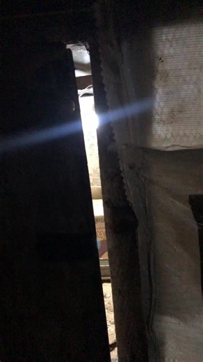 Exploring My Turkey Breeding Space at Night