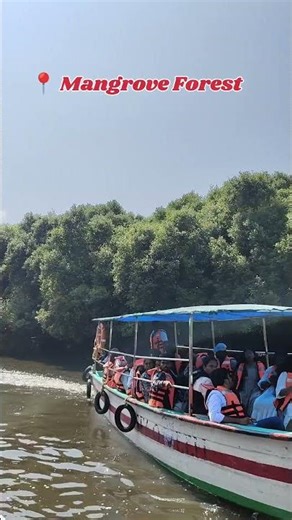 POV: You escaped to Pondicherry 🌴😍#pondicherry #travel #viral #explore #shorts