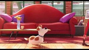 1.2K reactions · 322 shares | The new trailer for #TheSecretLifeOfPets launches tomorrow. Here is a sneak peek... | The Secret Life Of Pets | Facebook