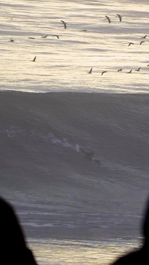 🌊 Punta de Lobos, el paraíso chileno de las grandes olas Es considerado como uno de los puntos de surf más espectaculares de Sudamérica y atrae a surfistas de todo el mundo. Rodeado de acantilados y cuyo nombre se lo dieron los enormes lobos marinos que suelen nadar en sus aguas. 📽@haf_audiovisual | Pichilemu Al Día