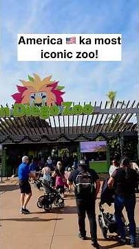 San Diego Zoo Tour | America’s Most Iconic Zoo 🇺🇸