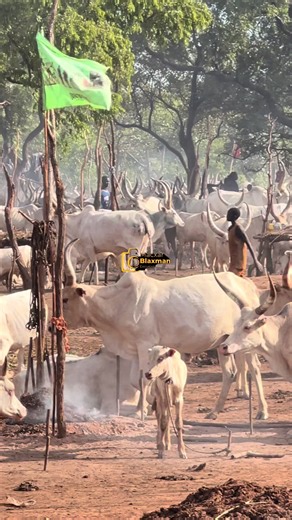 Discover South Sudan's Unique Cultures and Landscapes
