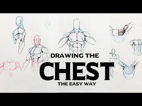 Drawing The CHEST the easy way