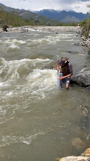 😱 Perfect Cast Net in Floating River! Insane Fishing Skills 🎣 #fishing #riverfishing #castnet