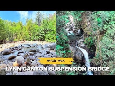"Lynn Canyon Suspension Bridge - Nature Love Vlog" #kannadavlogs