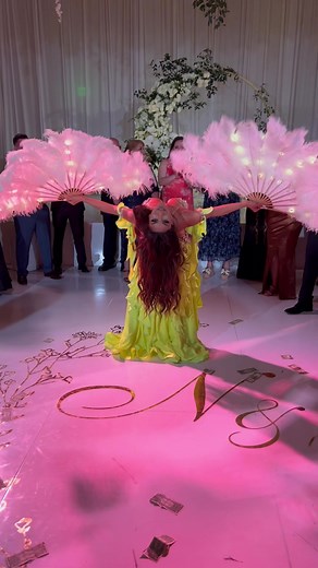 Beautiful Belly Dance Wedding Performance