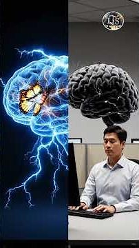 BẠN ĐANG BỊ BỘ NÃO LỪA GẠT MỖI NGÀY MÀ KHÔNG BIẾT!