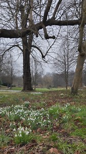153 reactions · 7 comments | It’s snowdrop season 懶 A sure sign spring is on the way  #snowdrop #spring #leedscastle #outdoors #anthropologie | Leeds Castle, Kent | Facebook