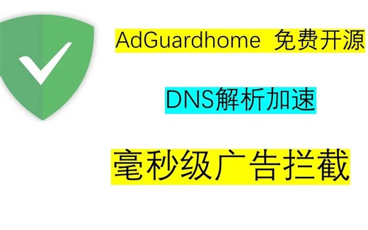 毫秒级精准广告拦截！Adguardhome，一款免费开源的DNS服务，广告过滤、DNS解析加速，支持windows、linux、docker安装，可搭配pass