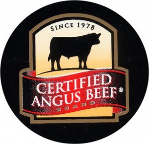 Copyright Rules for an Organization's Name