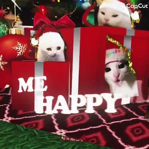 All I want for Christmas is YOU