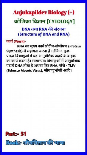 DNA vs RNA: Major Differences & Functions 🧬 | Protein Synthesis Explained | Biology Class 12