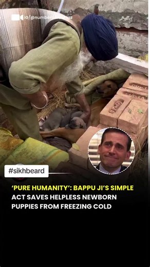 sikhbeardworld (@sikhbeardworld)’s video of sikh men