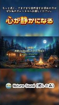夜の虫の音とやさしいピアノのハーモニー。アメリカ・コネチカット州イーストライムで録音しました。#湖畔キャンプ #虫の音 #焚き火の音 #自然音BGM #睡眠用BGM