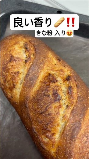 [With kinako (roasted soybean flour) 🥰] #sourdoughbread #sourdoughstarter #sourdough #germanbread...