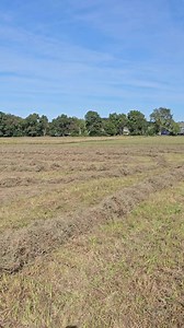 Boss man shows us how it's done!#bigtractorpower #farmequipment #johndeere #machine #agriculture #harvest #germanshorthairedpointer #farmer #farming | Michigan Farmer