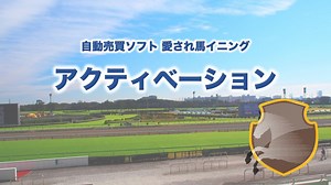 アクティベーション手続きの流れ