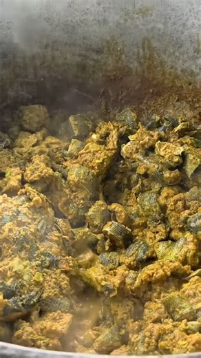 Trying curry iguana in Trinidad 🦎 #country #food #vlog #foodie