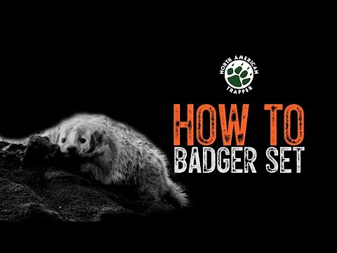 HOW TO / BADGER SET ~ #22 Beginner Trapping Series ~