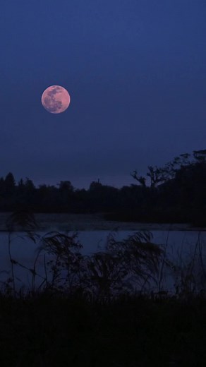 Blue Night Background Video: Free Moon Wallpaper