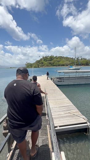 16K views · 390 reactions | Savusavu, Fiji Islands ️ ShamRock Farm Babasiga #farmer #hustler #savusavu #hiddenparadise | Thefarmer | Facebook