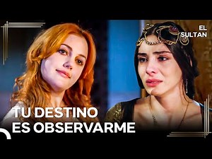 En Este Harem, Gana Quien Borra Las Reglas | El Sultán