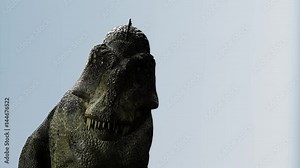 close up head of Tyrannosaurus Rex on a white background