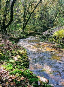 MEGHALAYA: Enchanting stories from the road • THE ROVING HEART