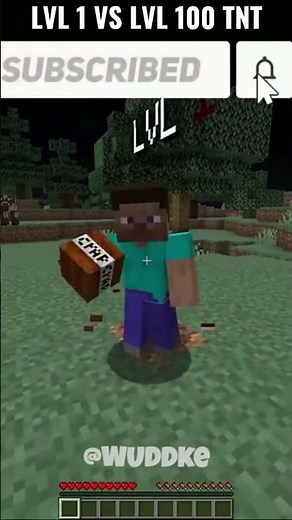 Steve picks lvl 1 vs lvl 100 TNT #shorts #minecraft